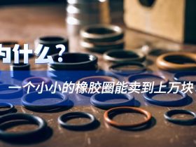 為什么一個小小的橡膠圈能賣到上萬塊?